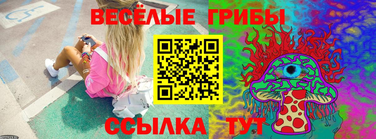 Псилоцибиновые грибы Magic Shrooms  Вход с VPN  Москва  Псилоцибиновые грибы Cubensis 